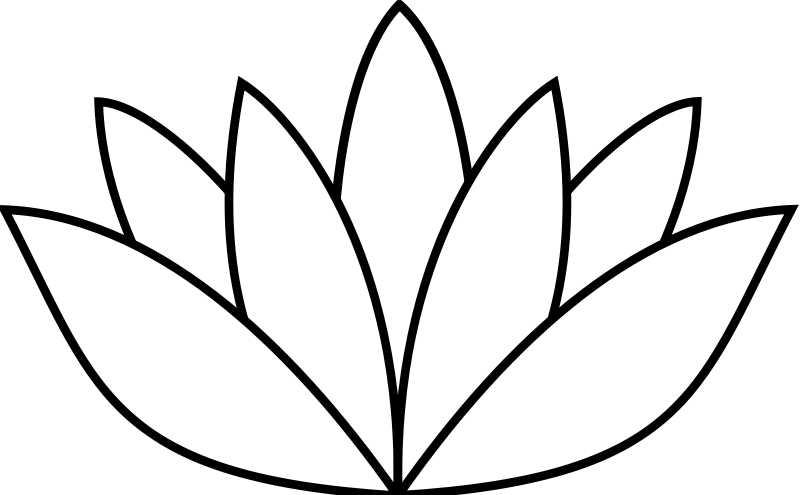 White Lotus Flower